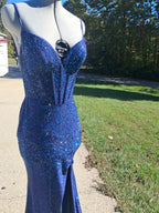 A sparkling royal blue sequined evening gown displayed on a mannequin outdoors on a paved path with grass and trees in the background.